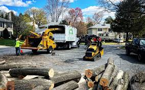 Professional Tree Removal and Landscaping Services in Nixon, TX